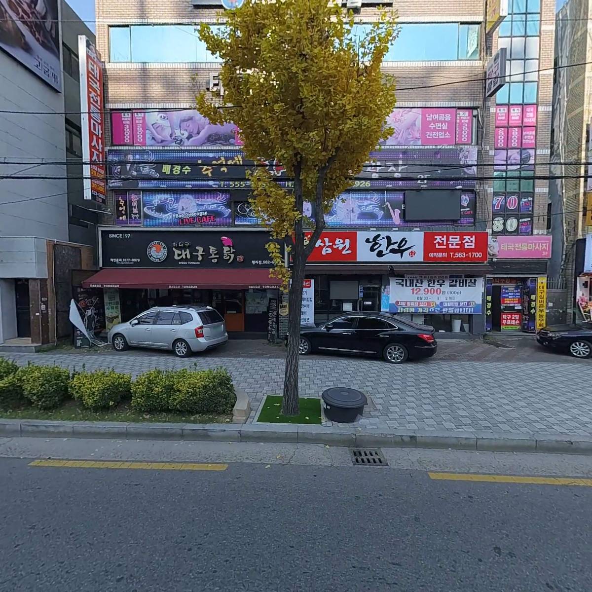 배경수 추억의 라이브광장