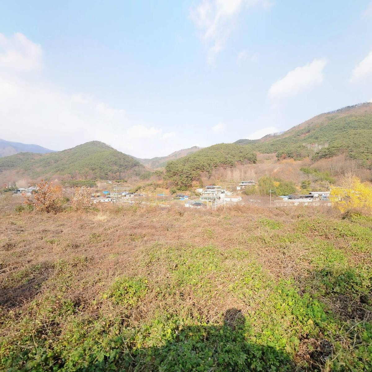 명인신광수차