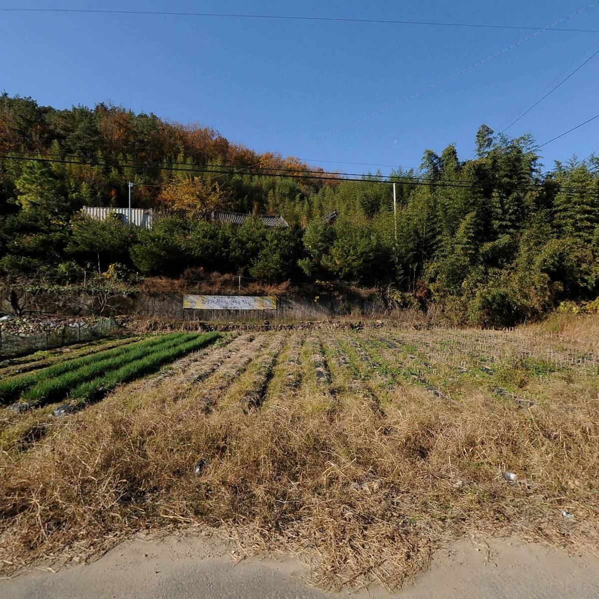 대한불교조계종 벽옥사