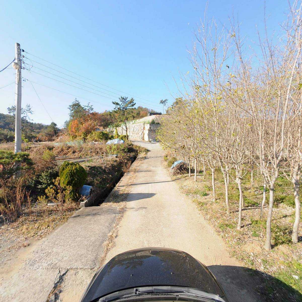 솔향기펜션민박_4