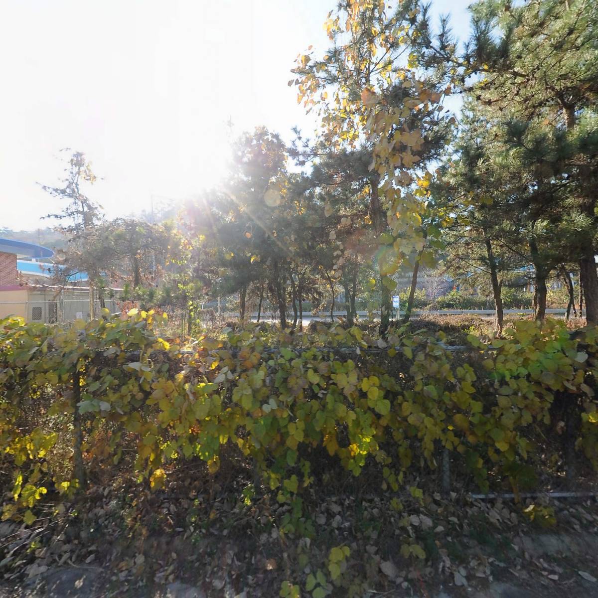 순천만요양원_3