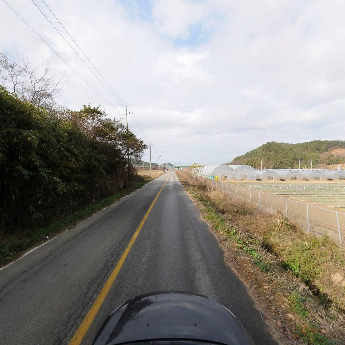 영진농산_4