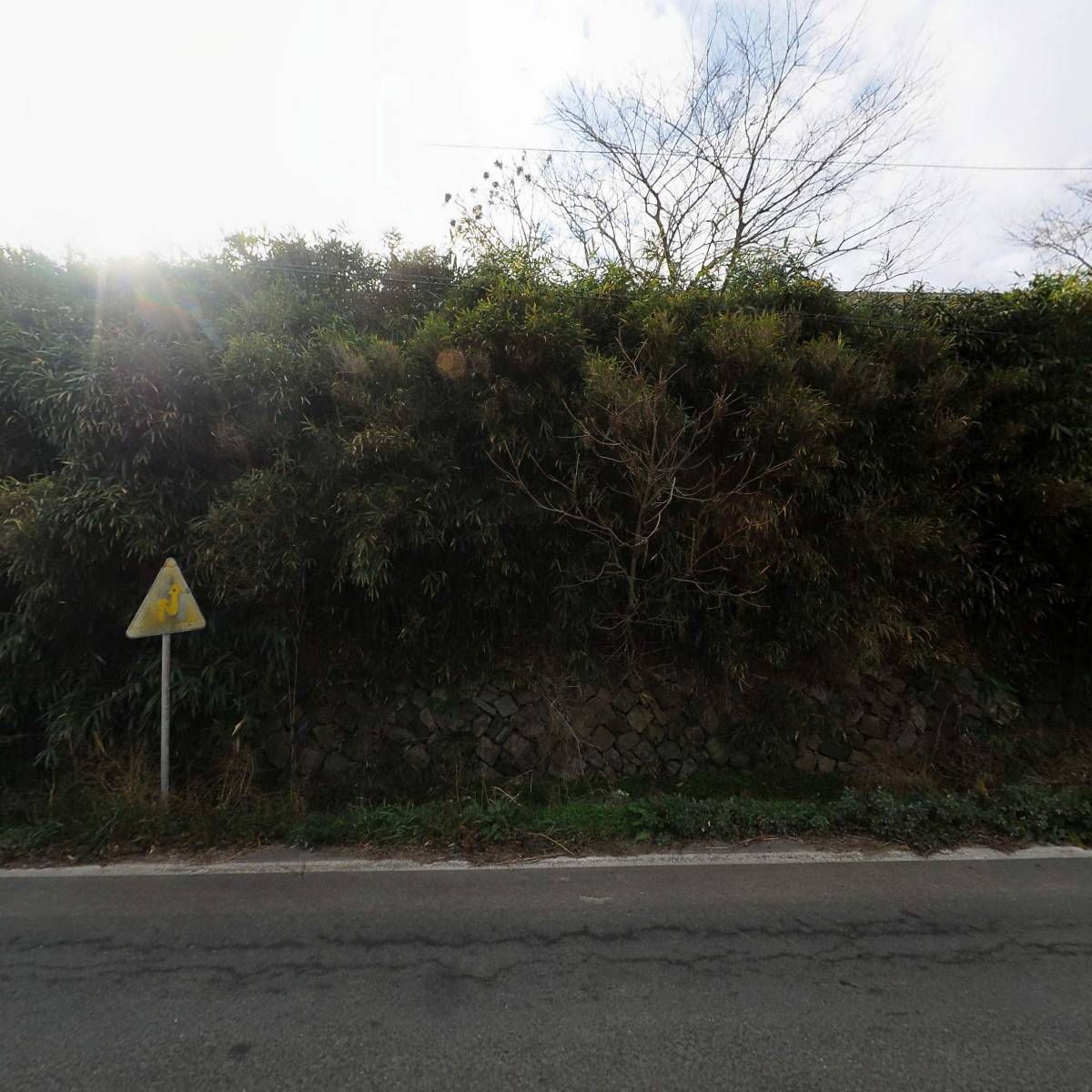 영진농산_3