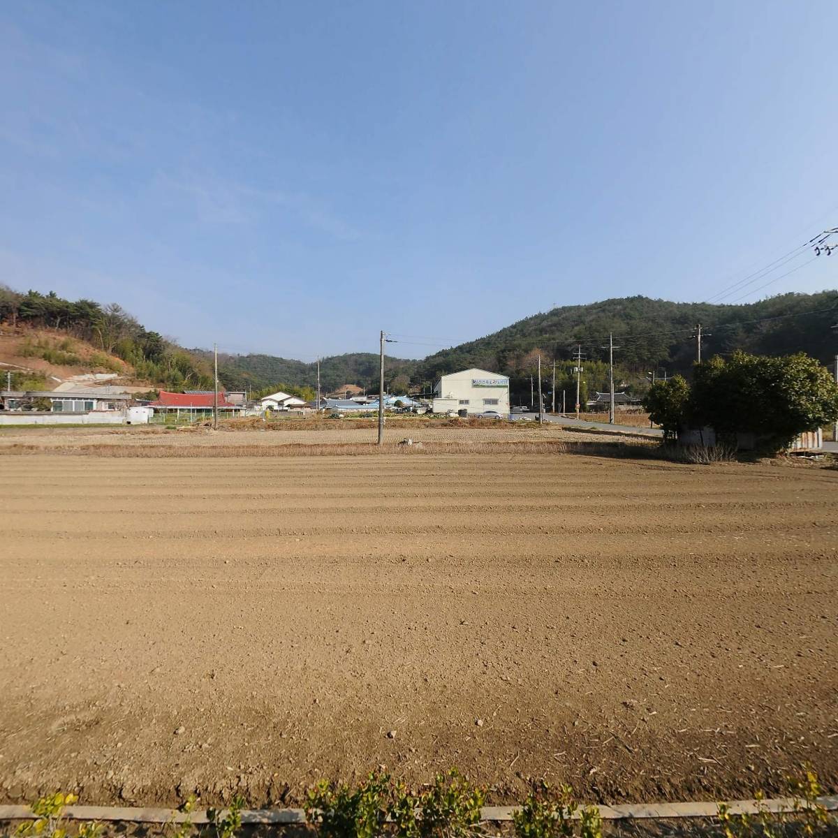 대성산업