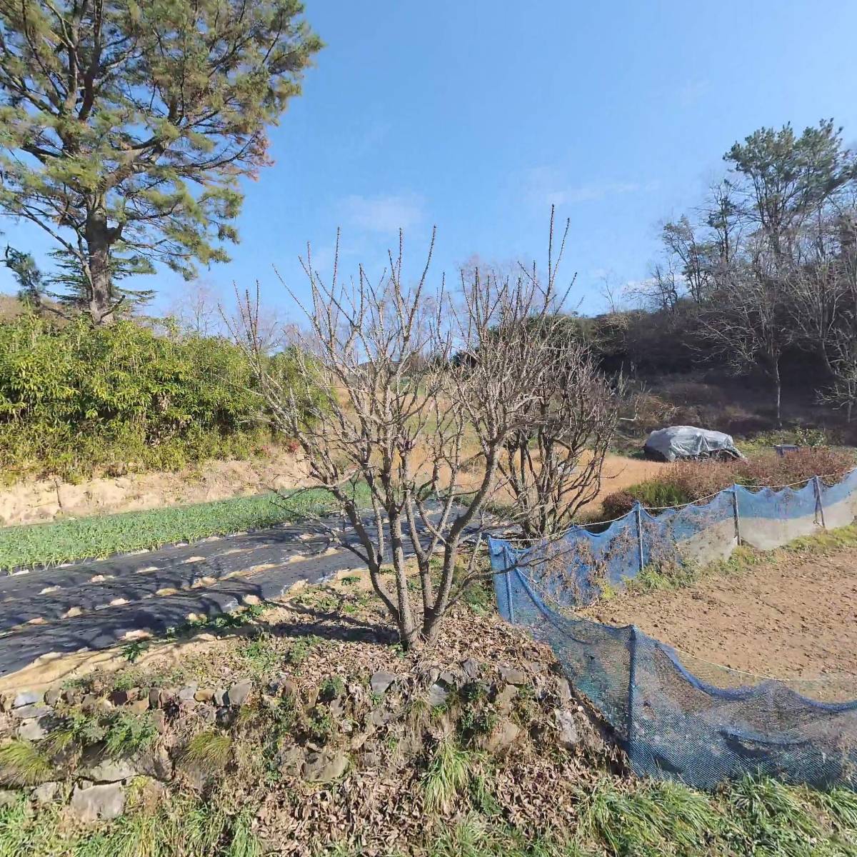 (주)비투케이2공장