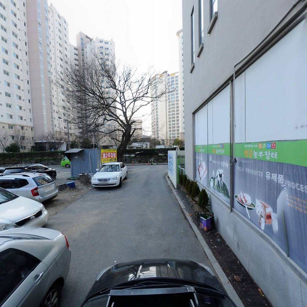 정관장홍삼 남문로점_4