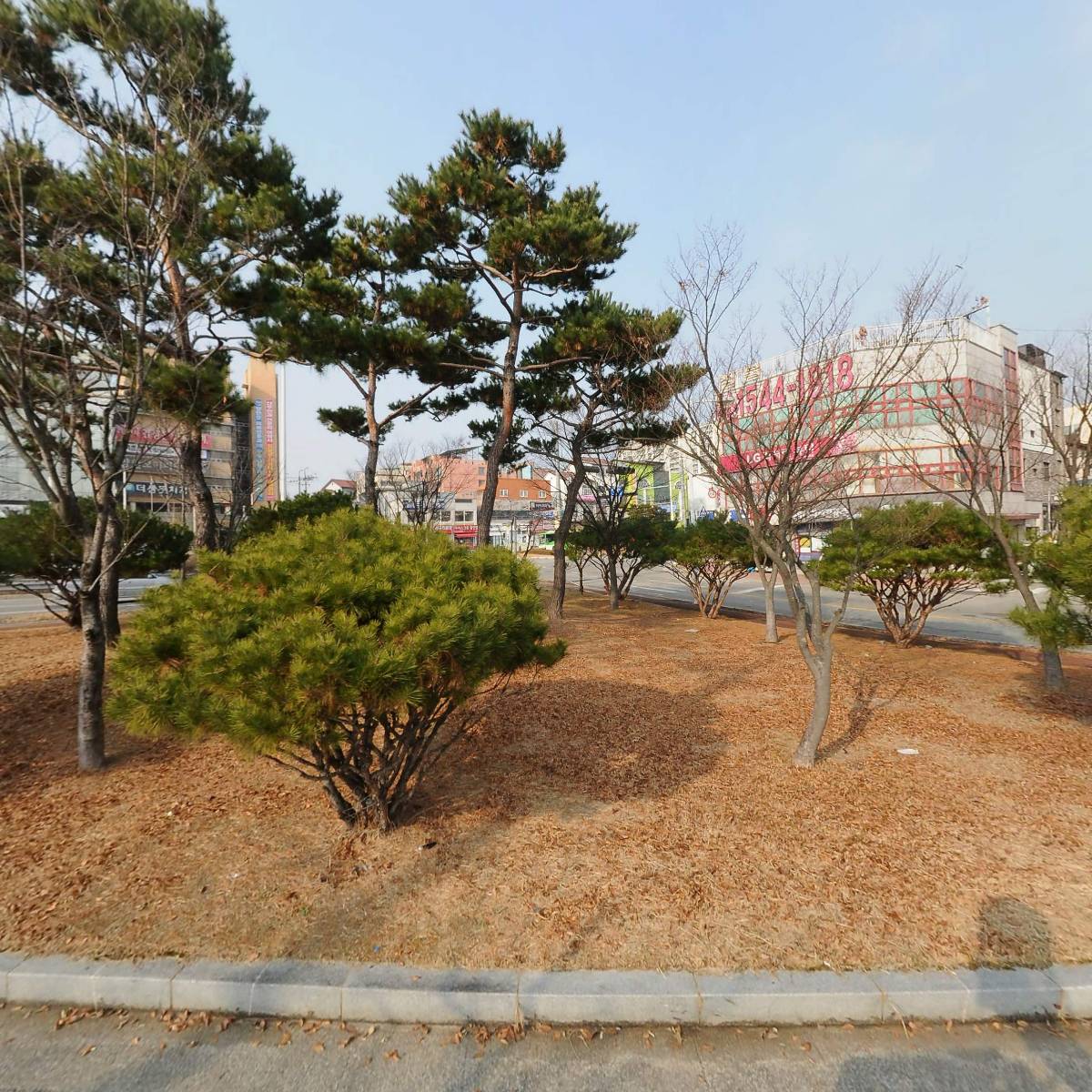 나물꽃필무렵_3