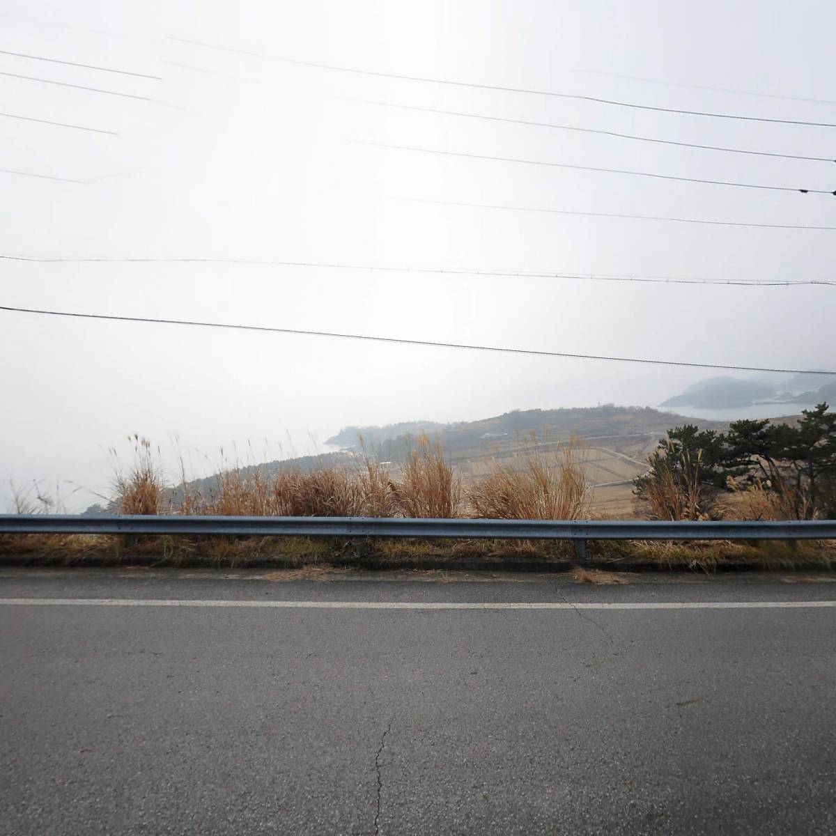 서핑쿠스_3