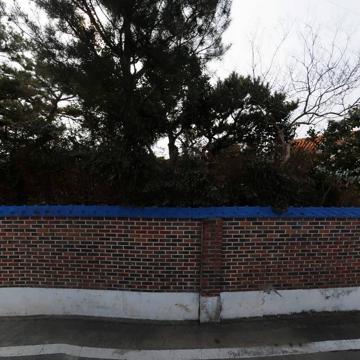 장흥안양면면민회