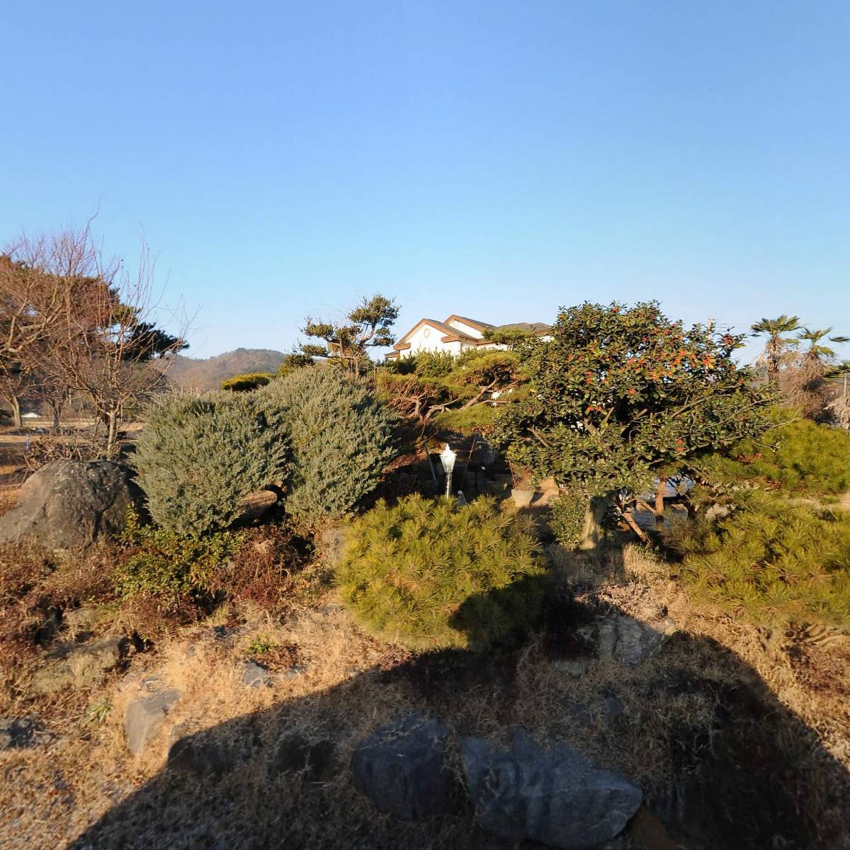 장흥군 족구협회