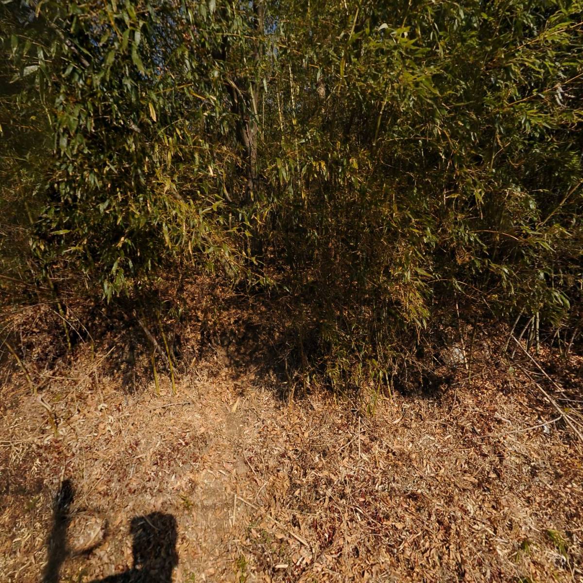 아삭농장