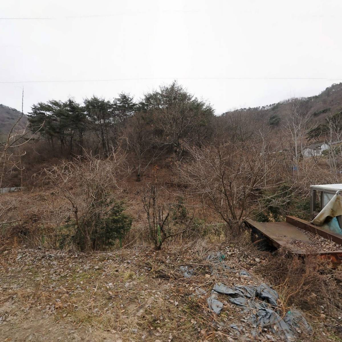 (사) 청미래재단 보성군 지부