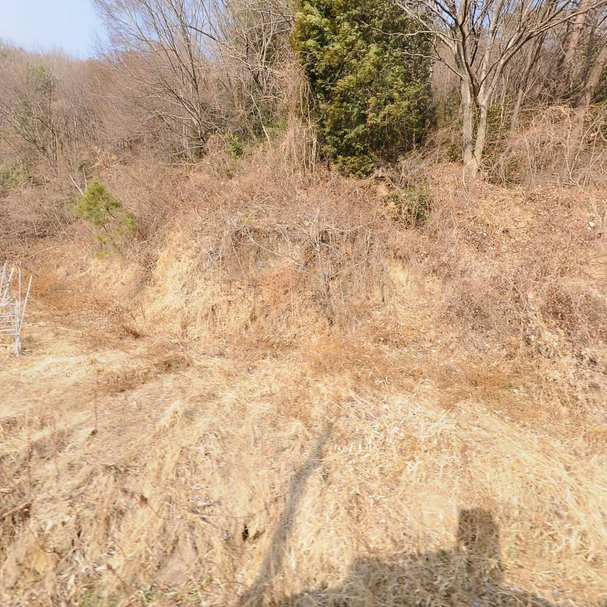 징광문화