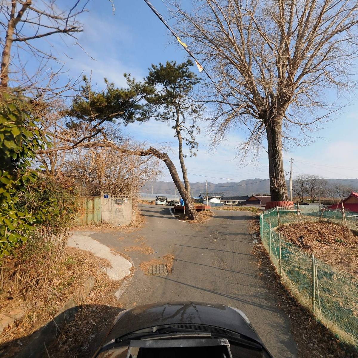 강진군청군동향우회_4