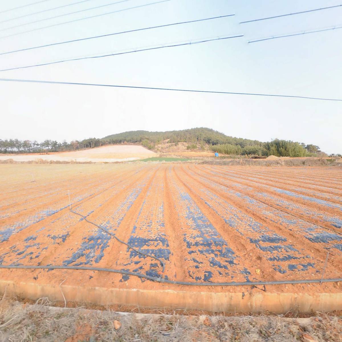 영농조합법인 참좋은