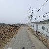 골드팜코리아_2