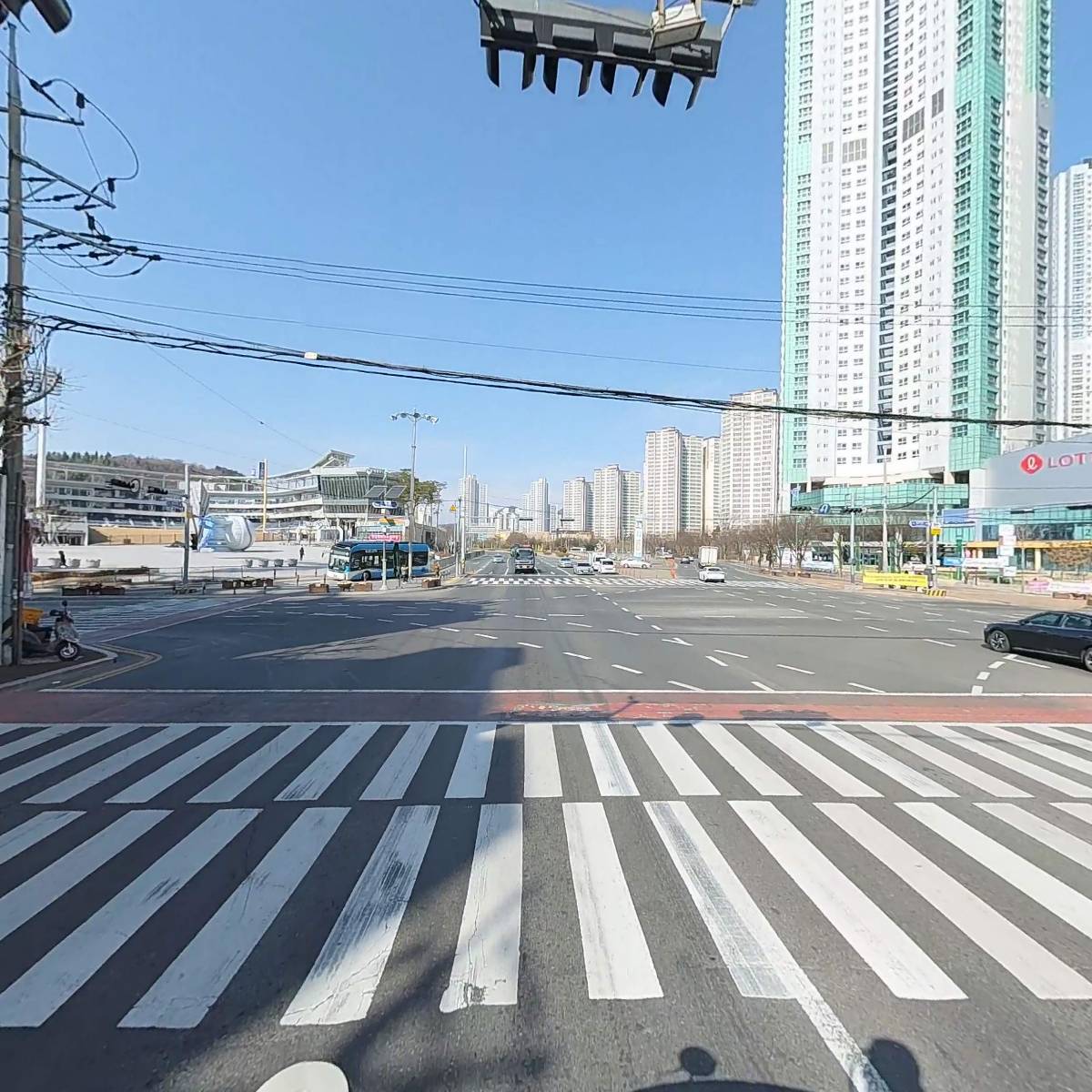 산호동물병원_2