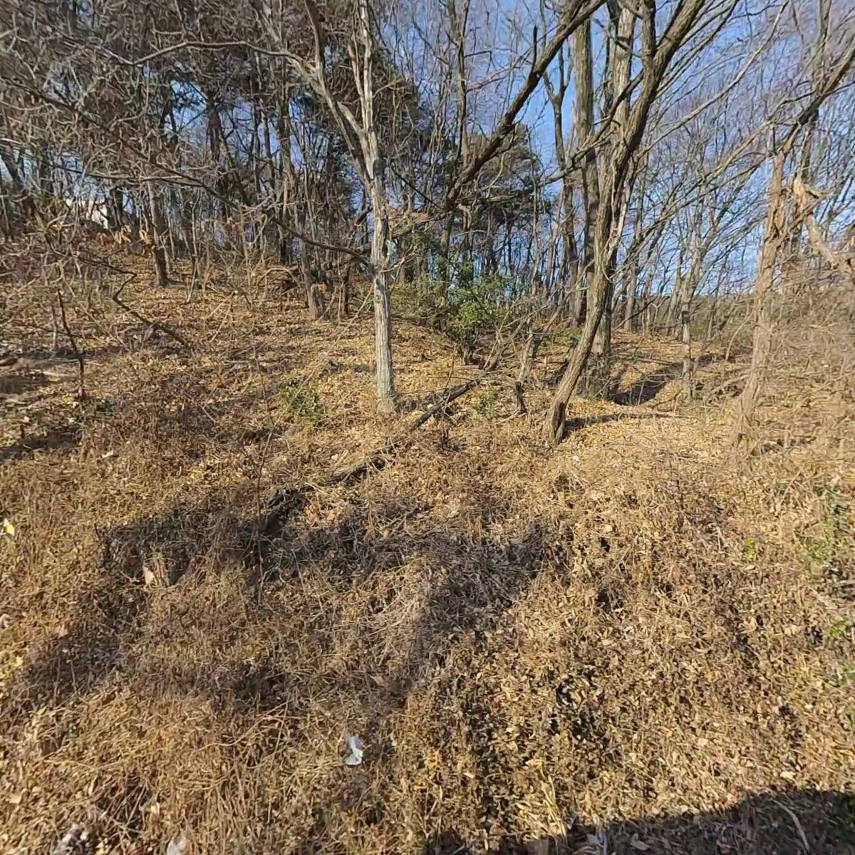 한국금속열처리