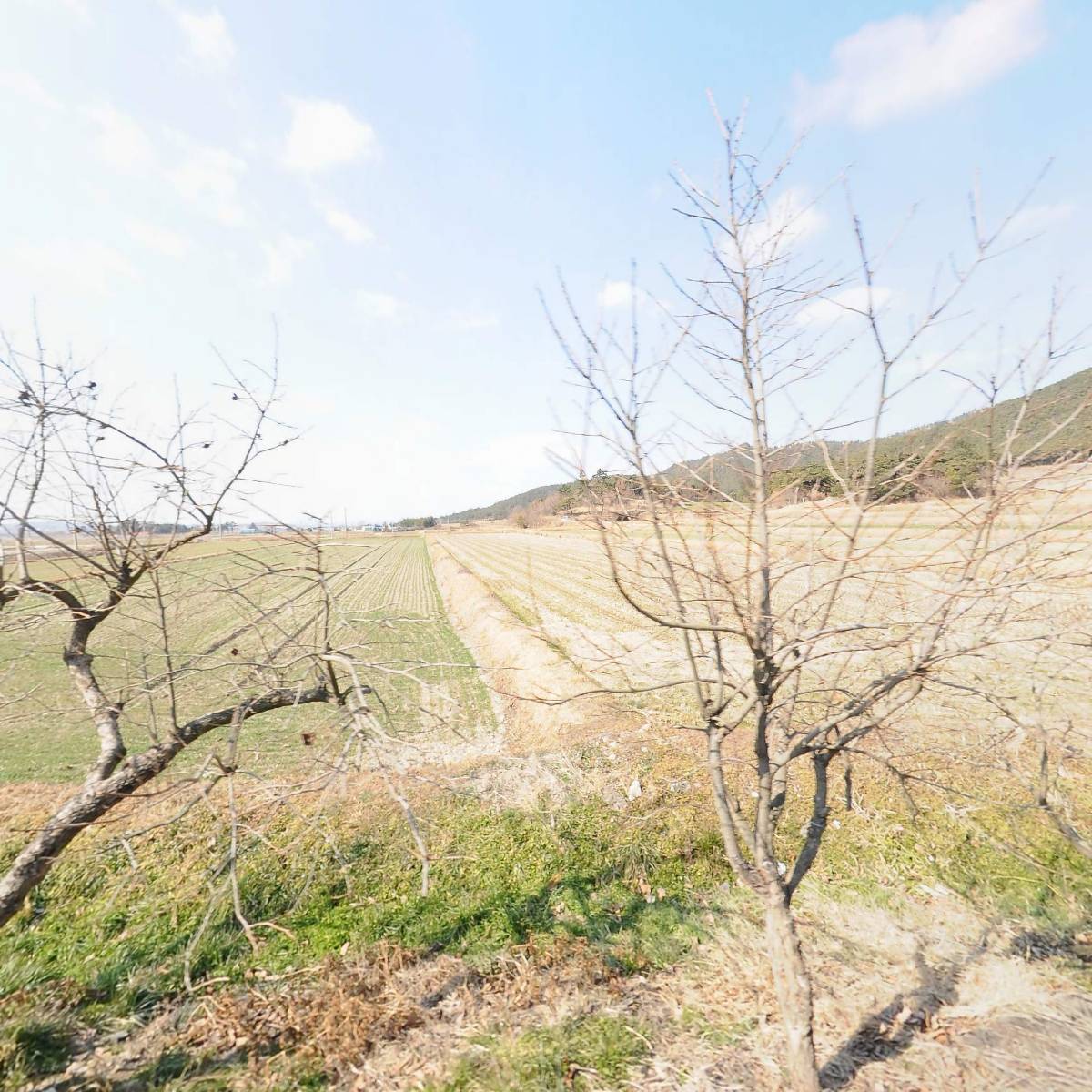 산호영농조합법인_3