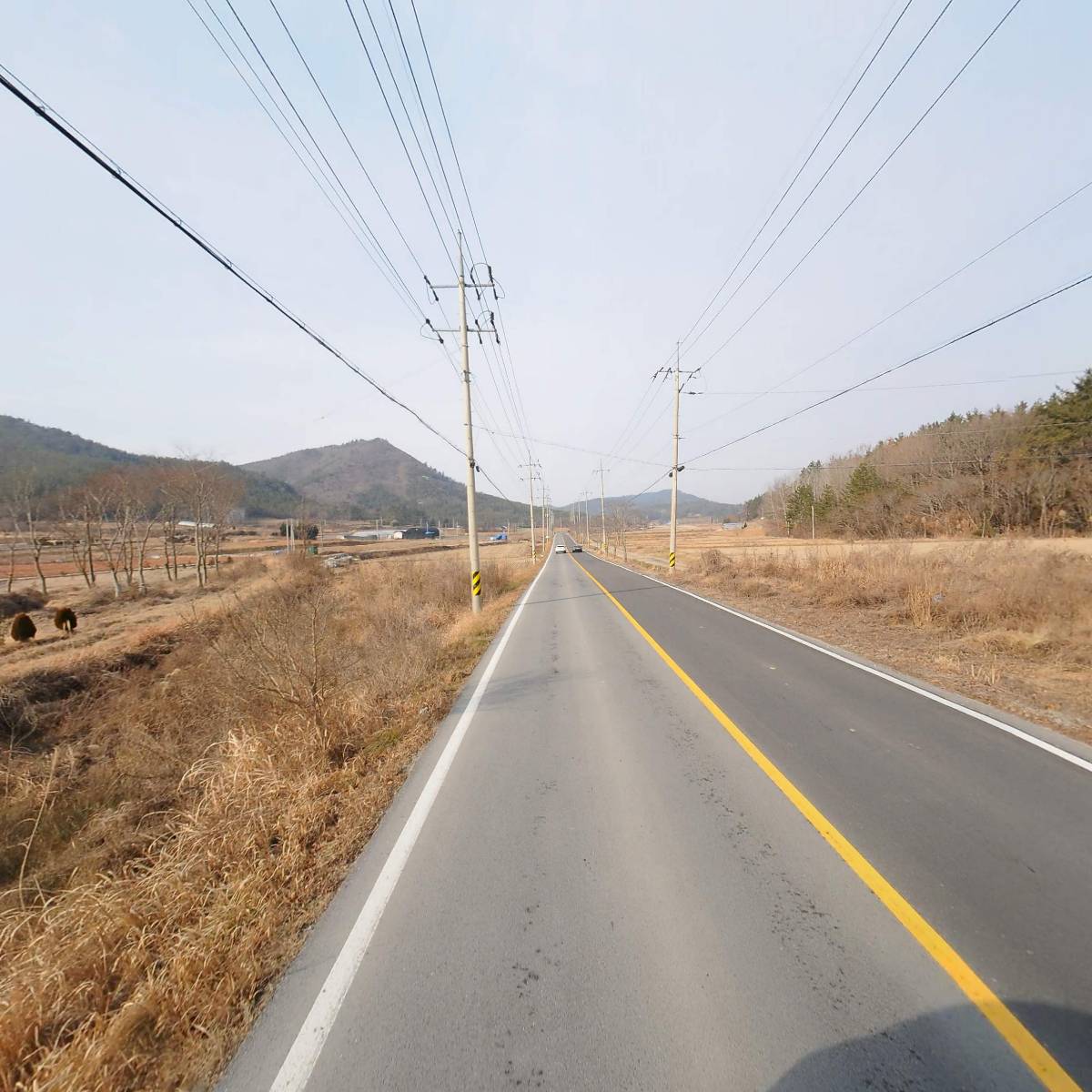 레아레아_2