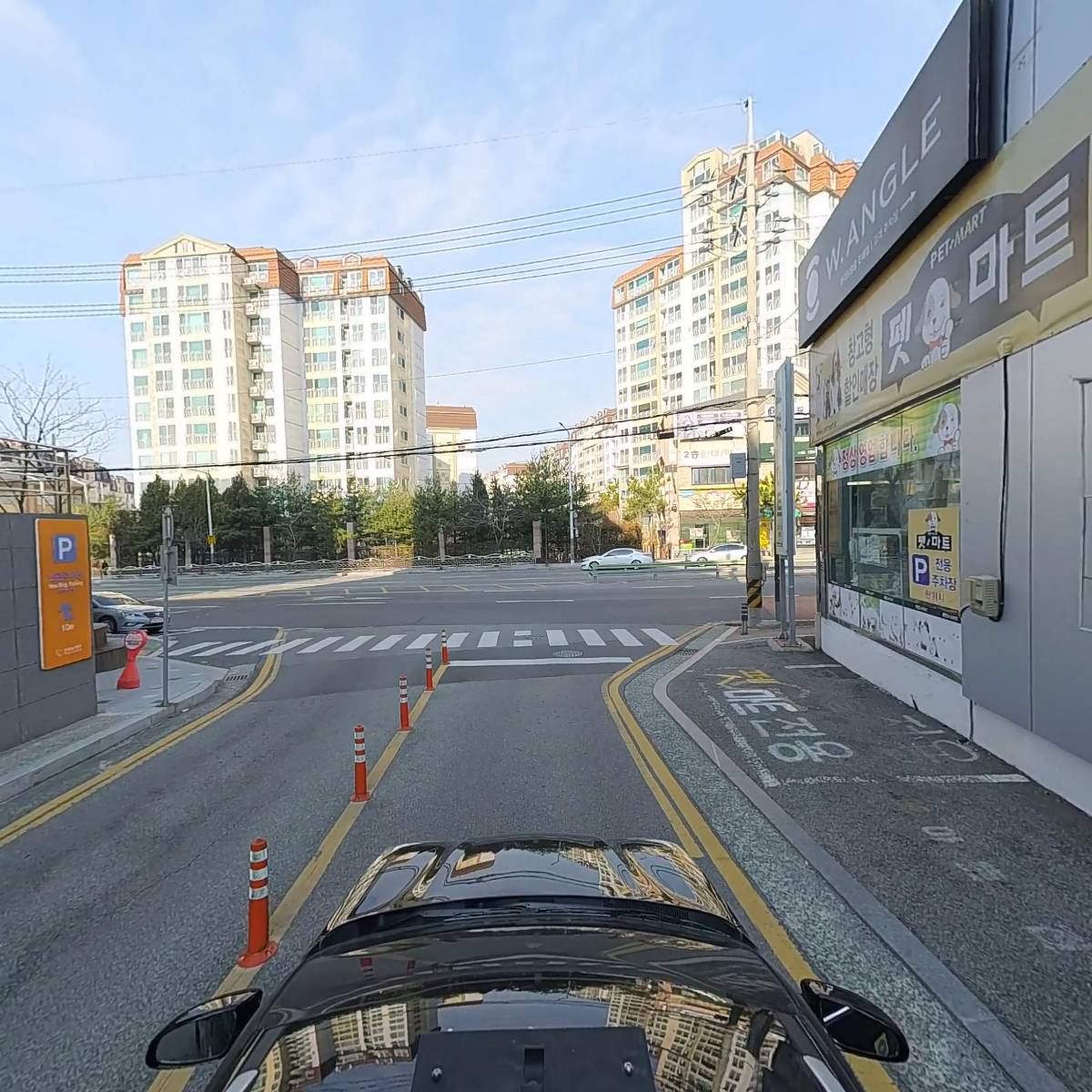 링스 진해석동점_4