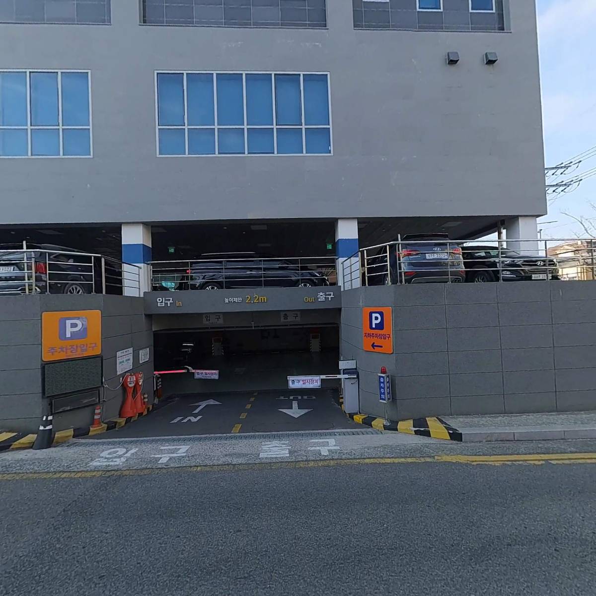 링스 진해석동점_3