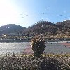 봄봄렌탈_3