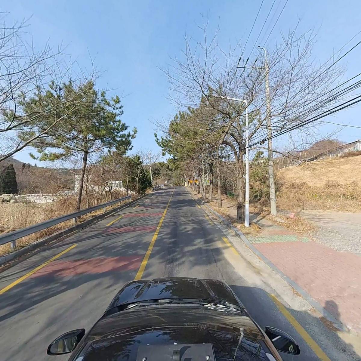 퍼피랜드 애견카페_4