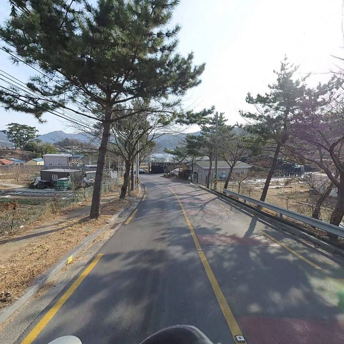 퍼피랜드 애견카페_2