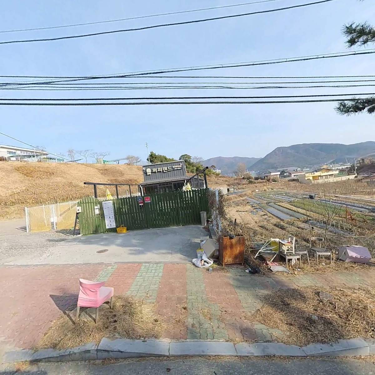 퍼피랜드 애견카페