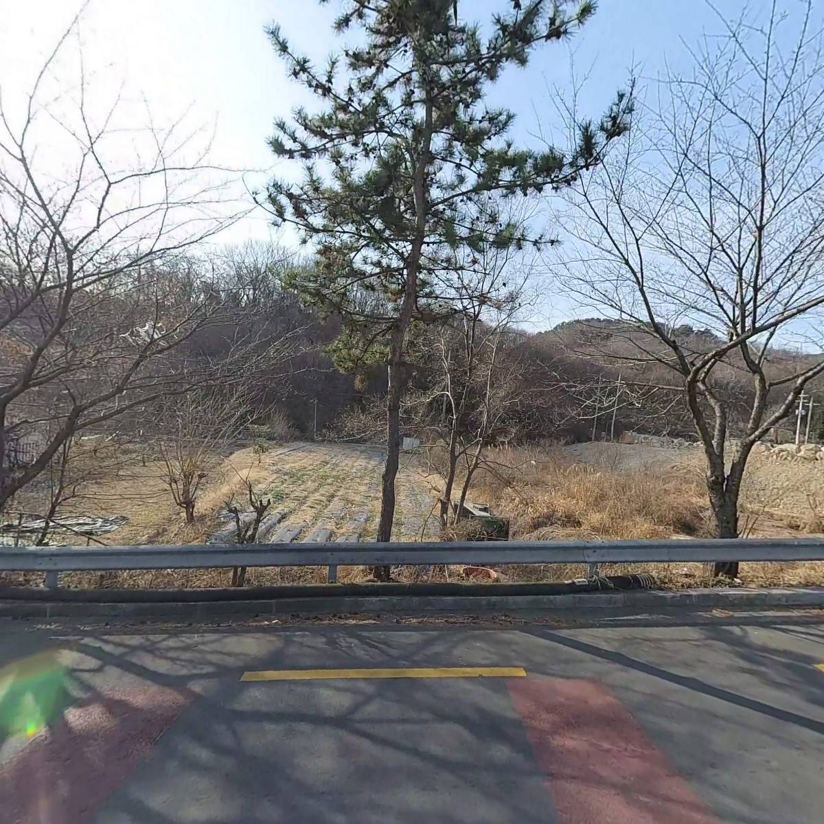 퍼피랜드 애견카페_3