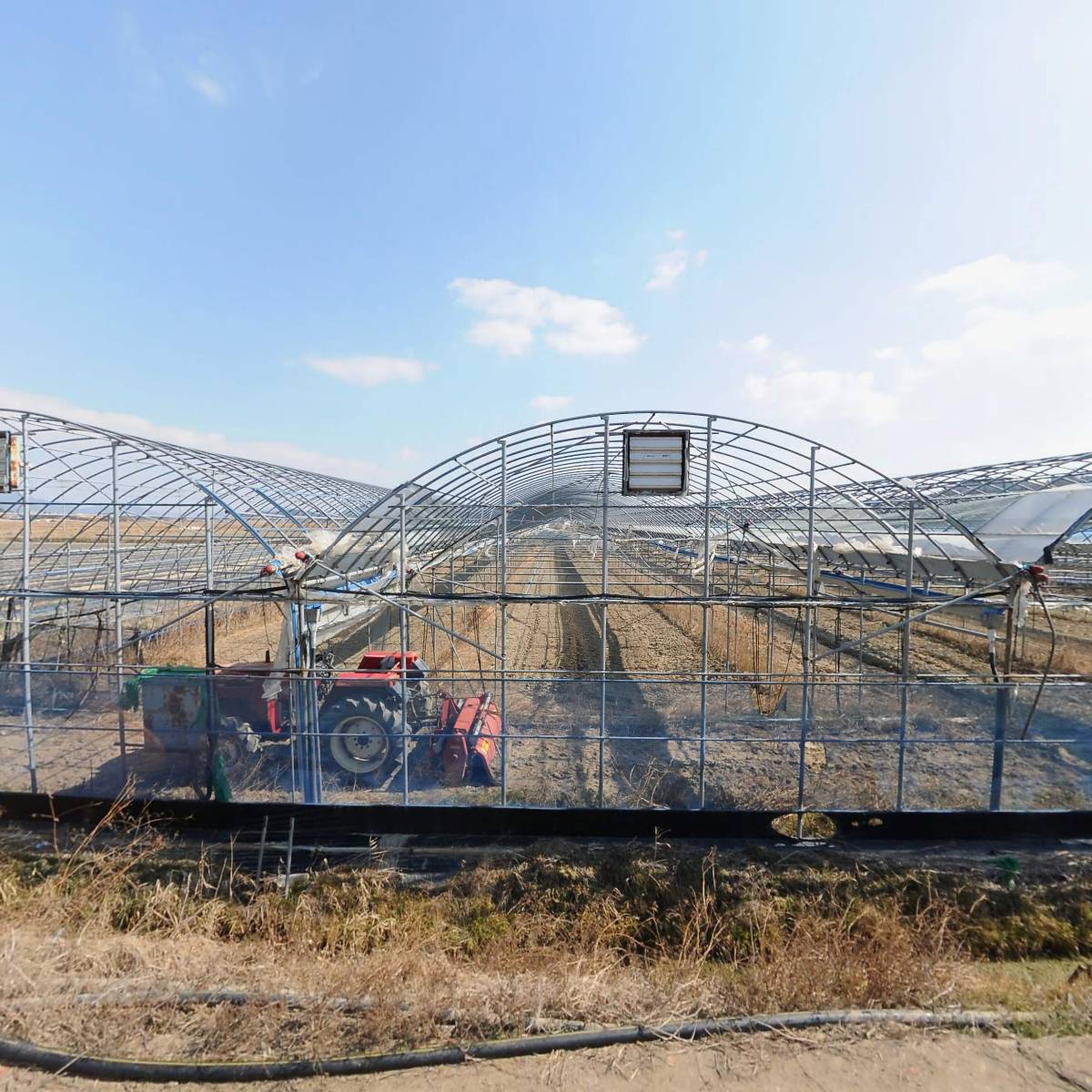 농업회사법인 매봉합자회사（지점）