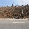 골든썬 주식회사_3