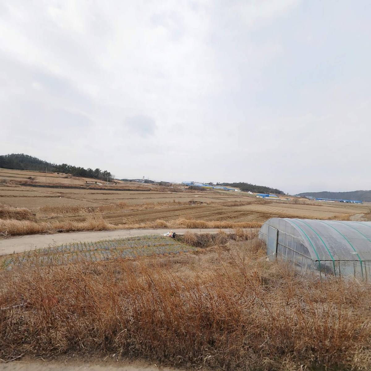 땅끝쑥이야기농장