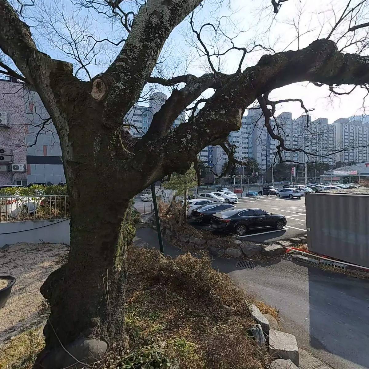 씨씨에스(CCS)어학원