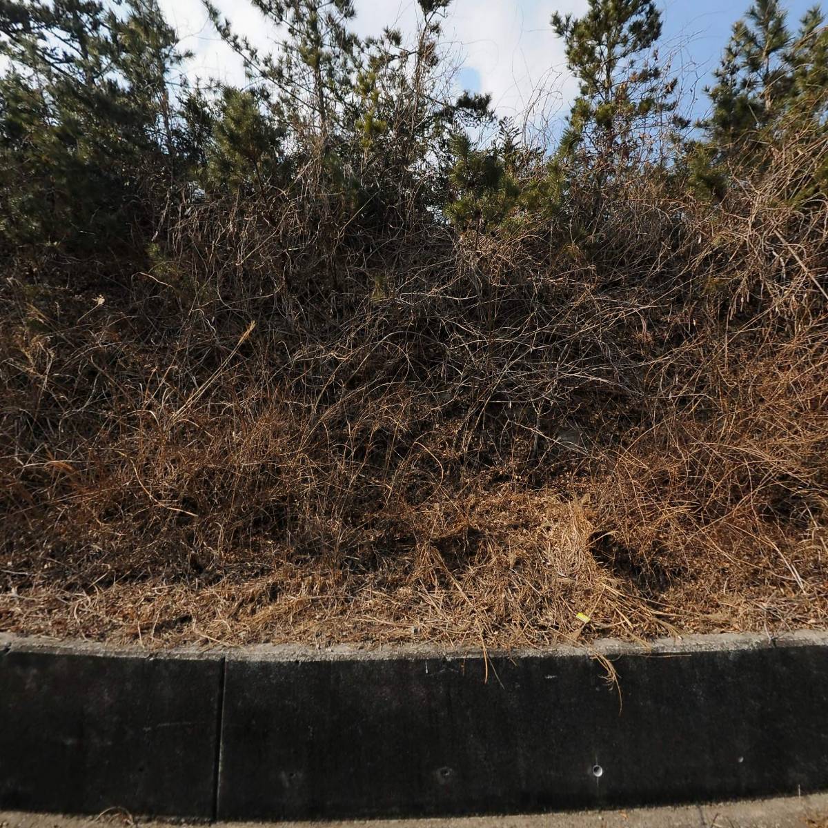 백령수산