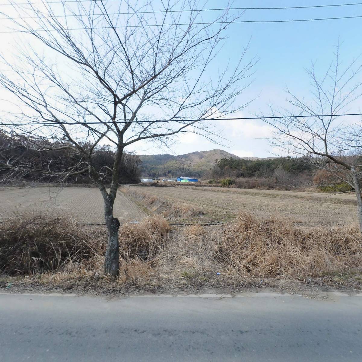 농업회사법인 유한회사 광야_3