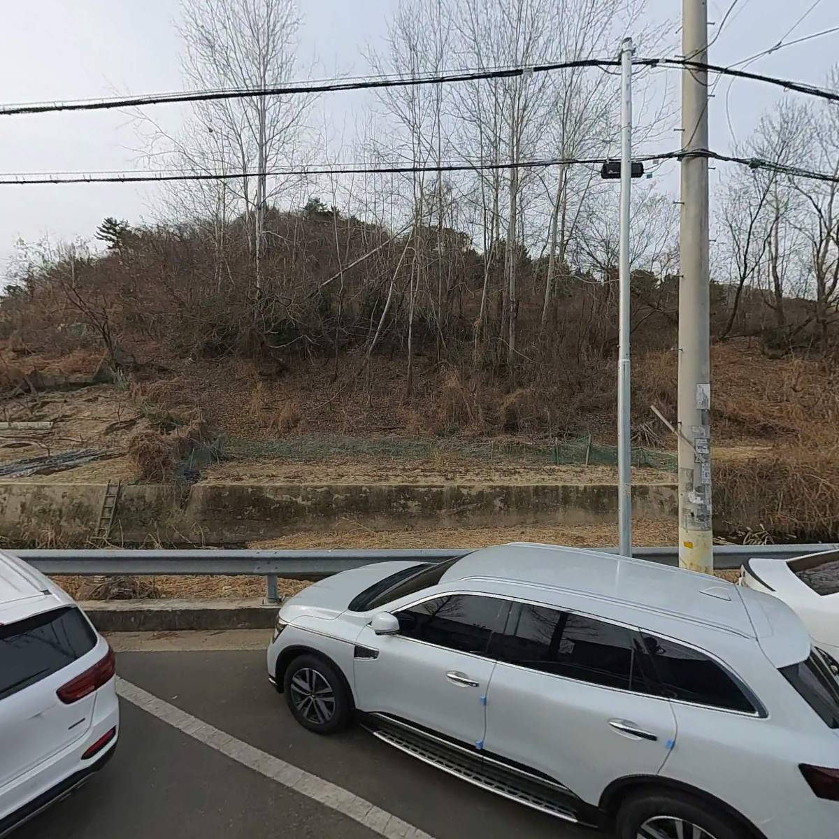 세경정기