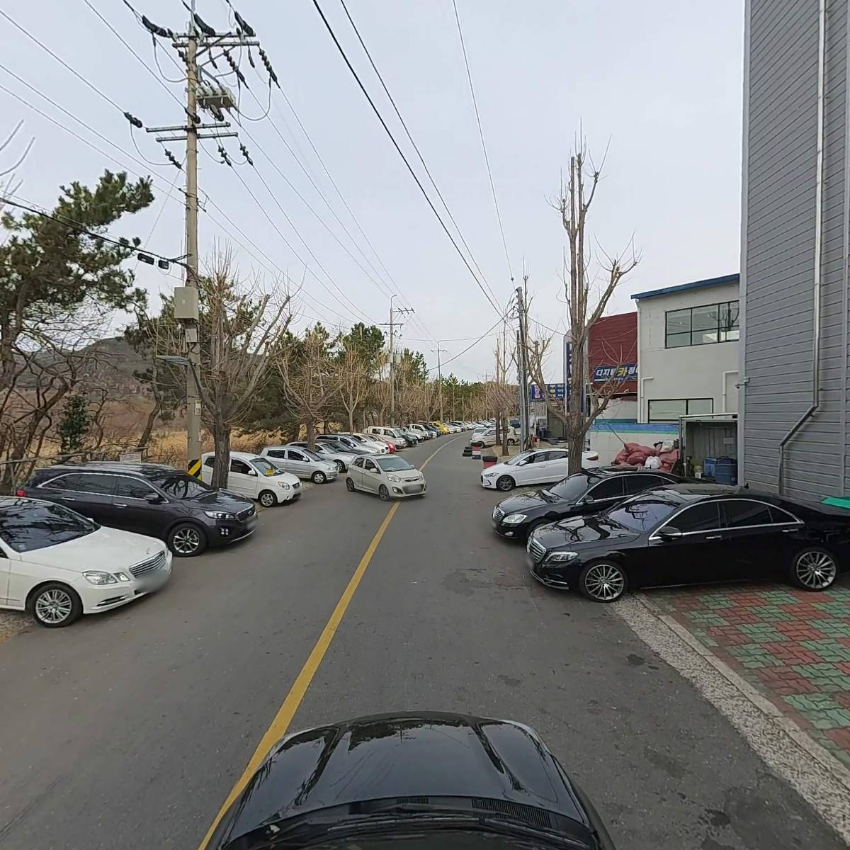 창원시장애인체육회  창장골협회 마금산클럽_4