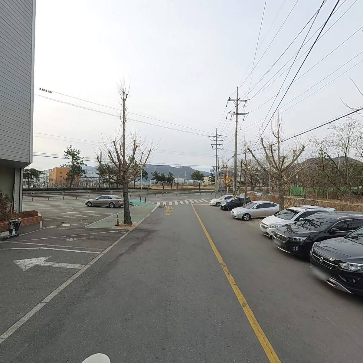 창원시장애인체육회  창장골협회 마금산클럽_2