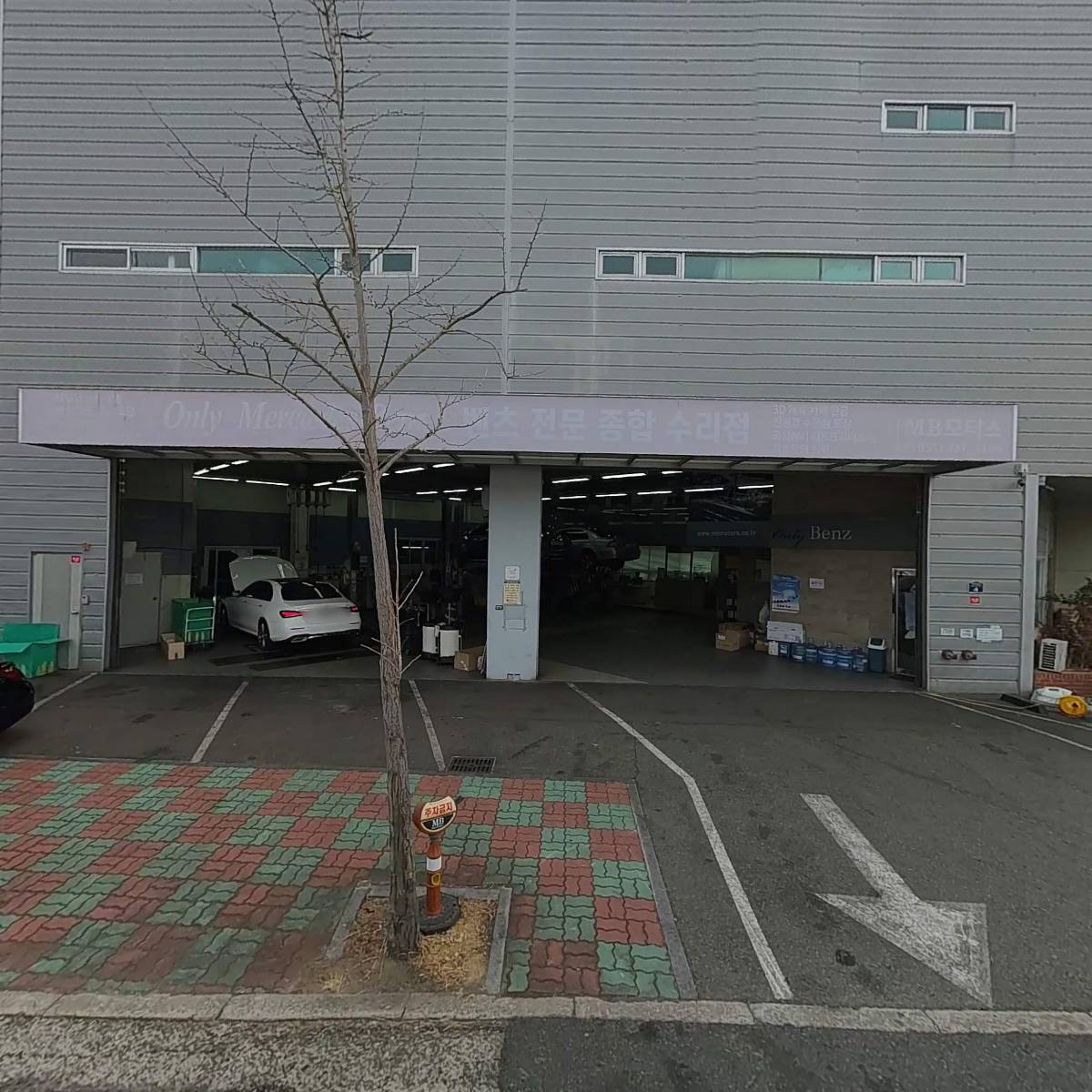 창원시장애인체육회  창장골협회 마금산클럽