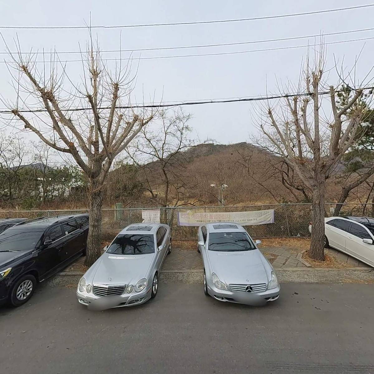 창원시장애인체육회  창장골협회 마금산클럽_3