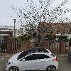 성일엔지니어링
