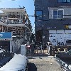 （사）한국야생화협회