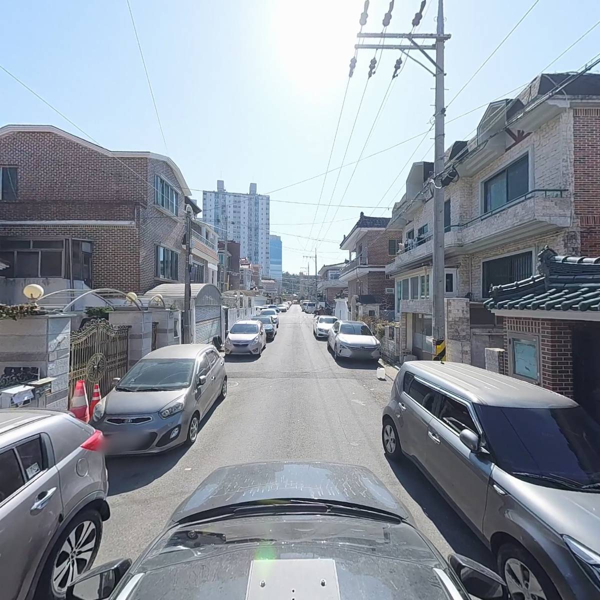 한국프로애견미용협회_4