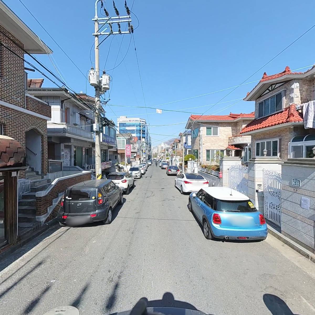 한국프로애견미용협회_2