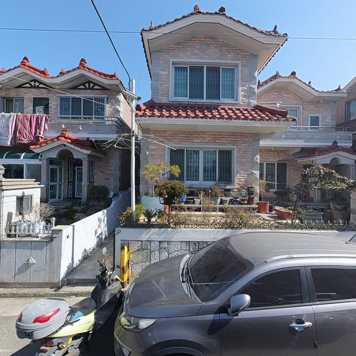 한국프로애견미용협회_3