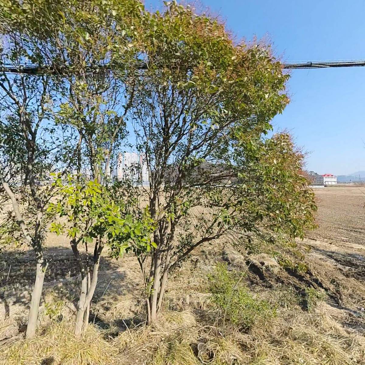 코너스톤종합건설 주식회사