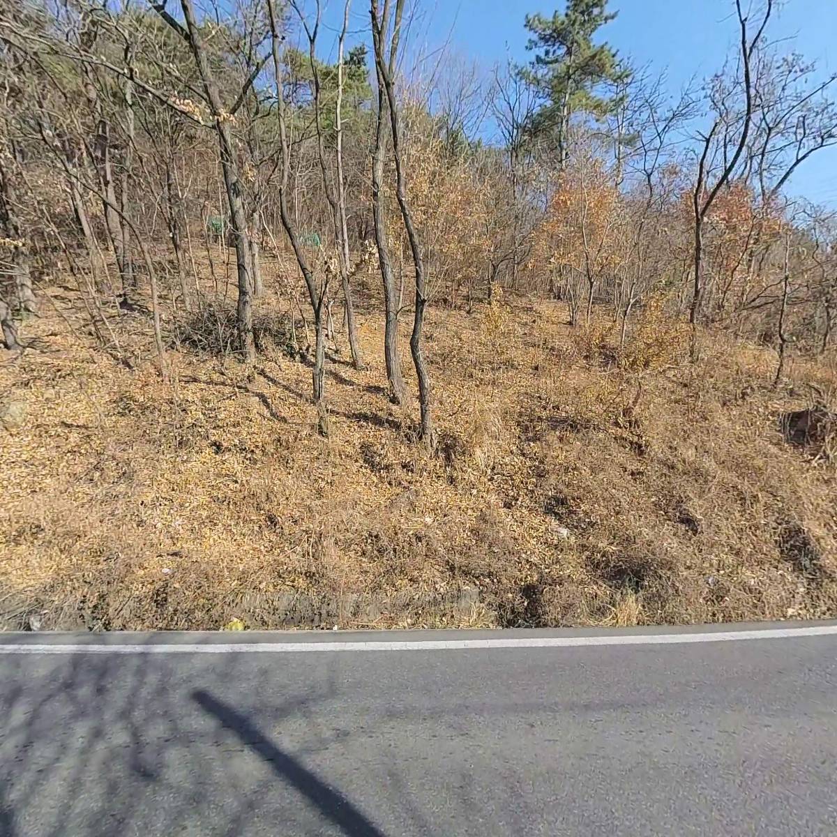 지지그린 주식회사_3
