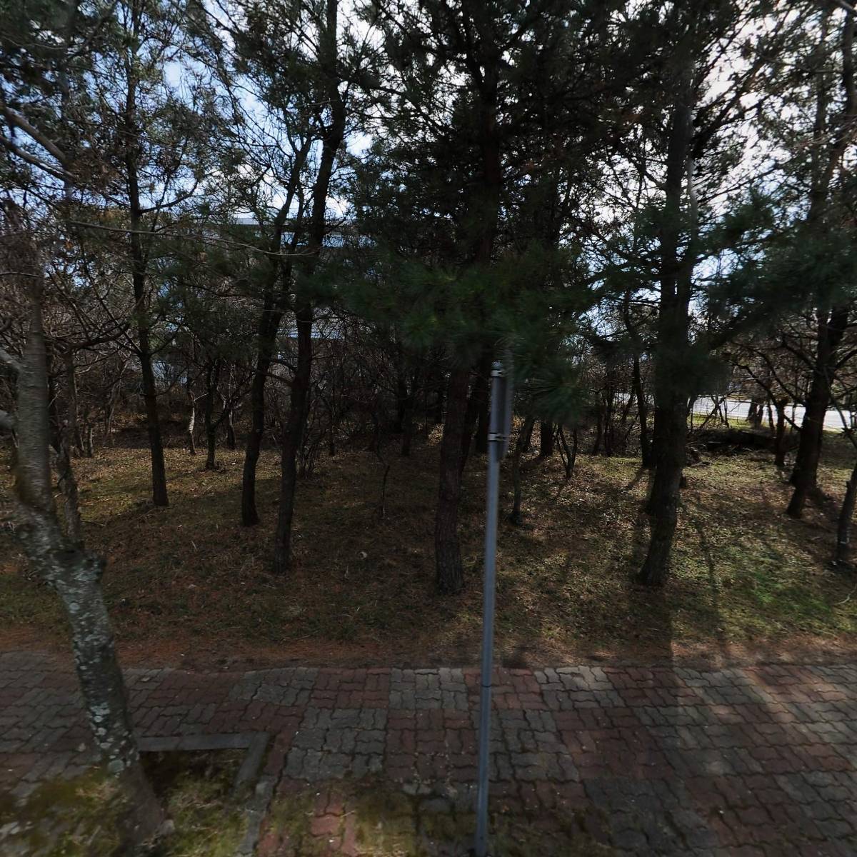 주식회사 우무